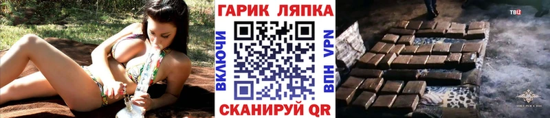 Гашиш AMNESIA HAZE  где купить наркотик  Майкоп 