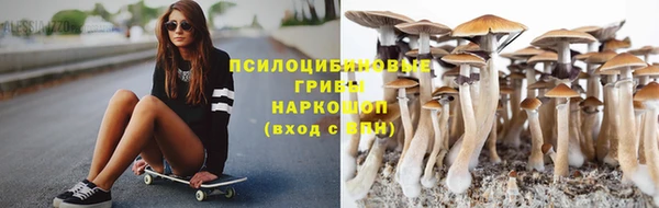 дурь Алексин
