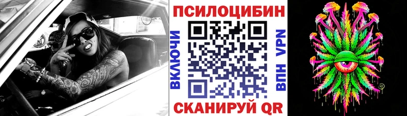 хочу наркоту  Майкоп  Галлюциногенные грибы MAGIC MUSHROOMS 