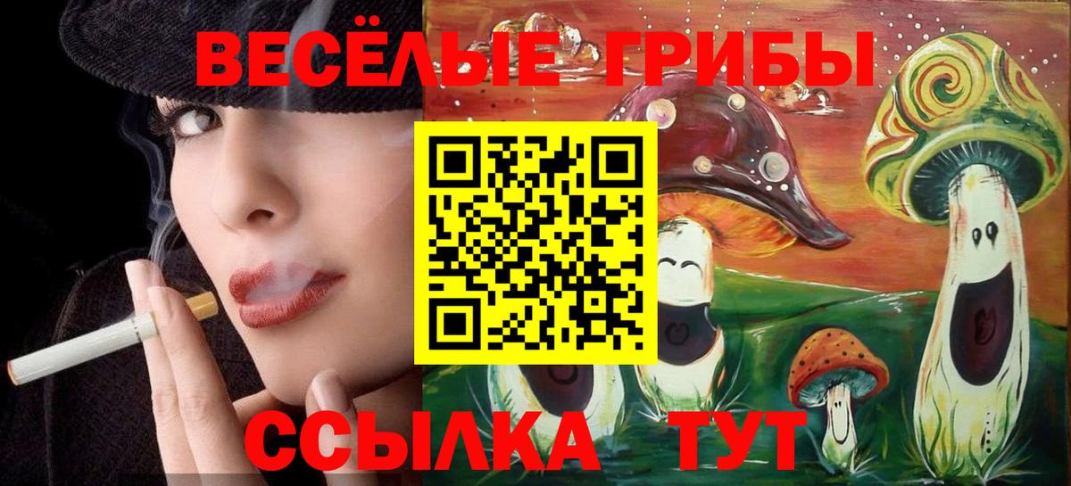 Галлюциногенные грибы Cubensis Майкоп