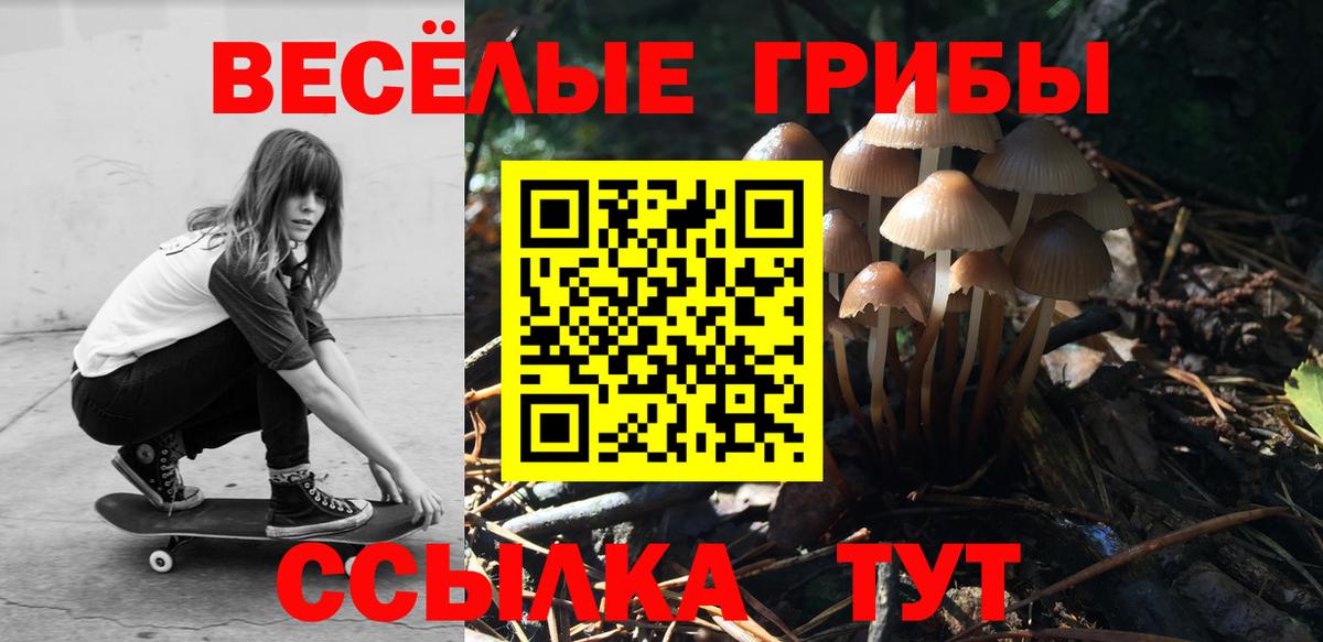 Галлюциногенные грибы Psilocybine cubensis  Галлюциногенные грибы MAGIC MUSHROOMS  Вход с VPN  Майкоп 